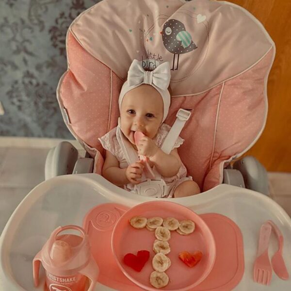 Set De Table à Ventouse + Plat Avec Couvercle Rose