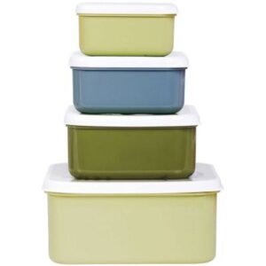 lot-de-4-boites-a-gouter-dinosaure-3 lot-de-4-boites-a-gouter-dinosaure-3