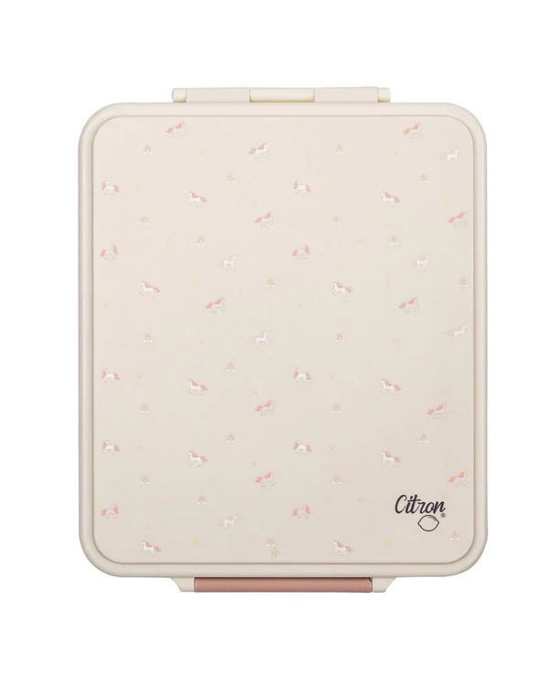 lunchbox