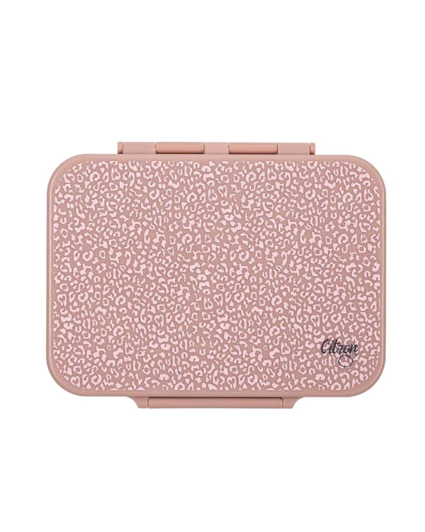 lunchbox