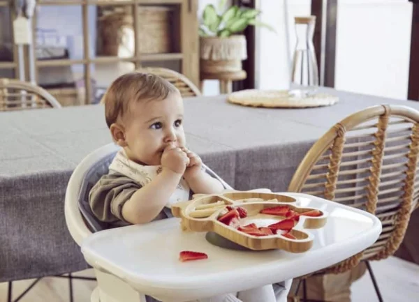 Assiette avec ventouse