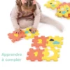 Ludi Coffret D'activités