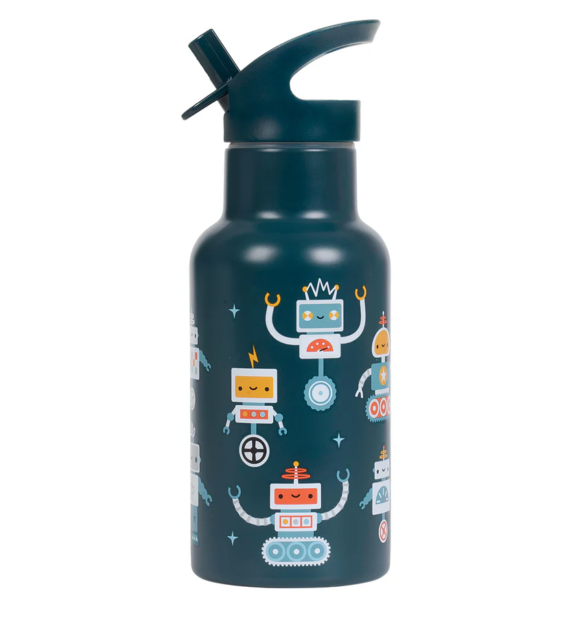 DBSSRO100-LR-1-Stainless-steel-drink-bottle-Robots.jpg gourde isotherme
